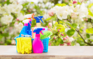 Top Ten Spring Cleaning Tips